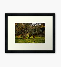 Under the Big Oak Tree Framed Print