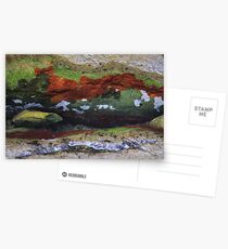 Rock Pool base of Ship Stern Bluff Postcards