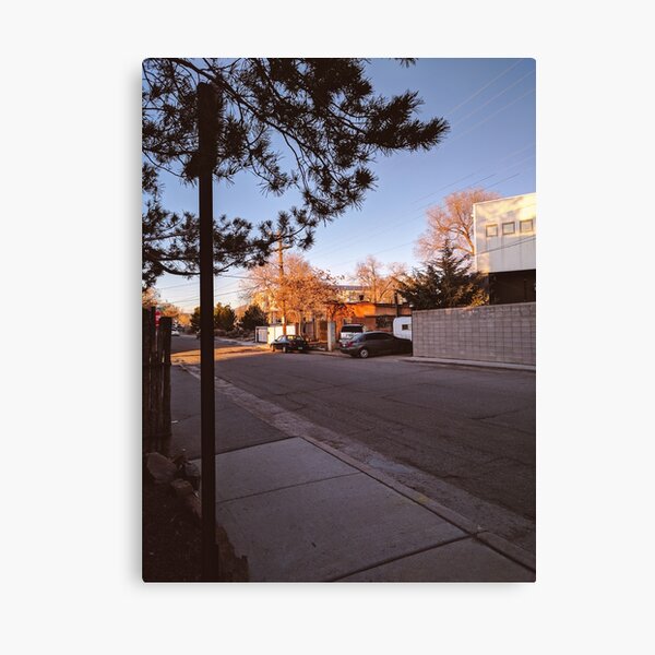 Dusky Ray Canvas Print