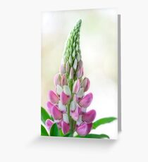 Lupin Greeting Card