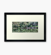 Pittwater Paradise Framed Print