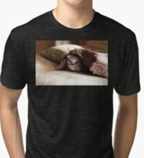 Camiseta de tejido mixto Shorthair americano