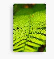 Green Impression Canvas Print