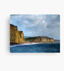 Jurassic Coast Canvas Print