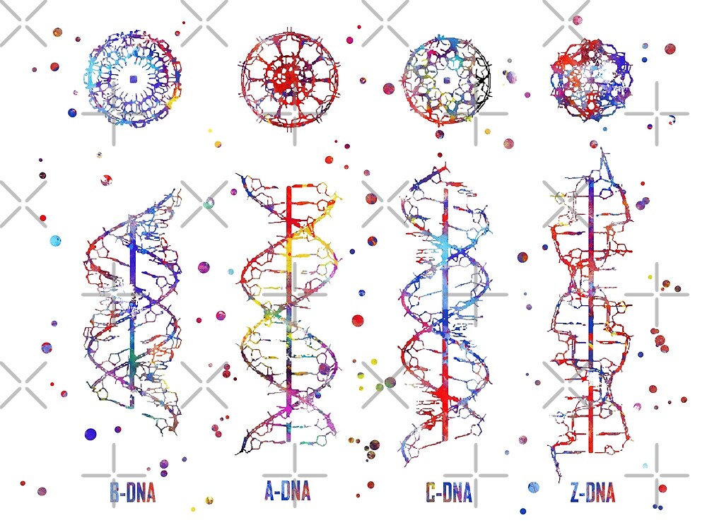 Днк таты. ДНК геометрия. Строение ДНК тату. Космос геометрия ДНК. Radiolabeled DNA.