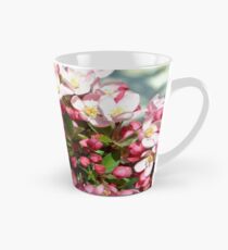 Apple Blossoms Blooming Tall Mug