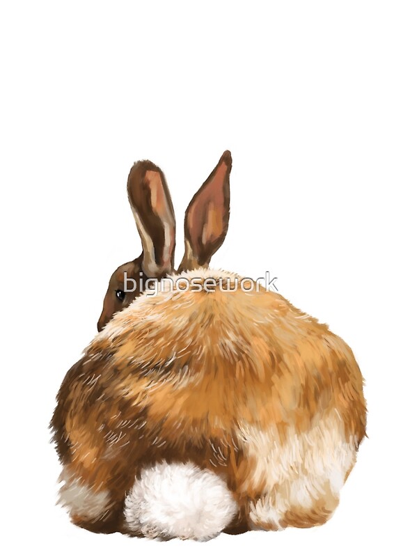 Rabbit Butt By Bignosework Redbubble