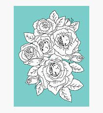 Rose Buds Photographic Print