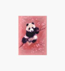 Lámina de exposición Panda