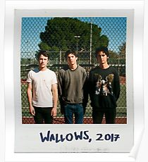 wallows polaroid circa 2017 Poster