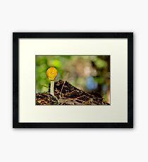 Yellow Cap Framed Print