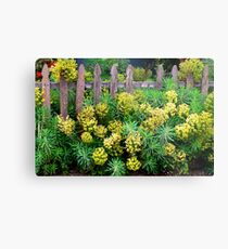Old Fashioned and Romantic Metal Print