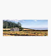 Ferry House Panorama Photographic Print