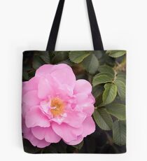 A Flavour of Pink Tote Bag