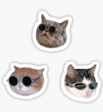 Cooles Kätzchen Sticker-Pack Sticker