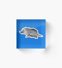 The Giant Rat from Rat Movie: Mystery of the Mayan Treasure Acrylic Block