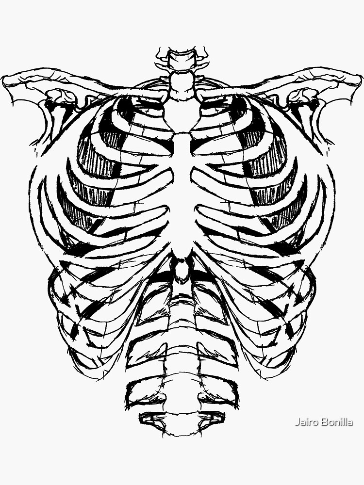 "skeleton ribs" Sticker by mexibonilla10 Redbubble