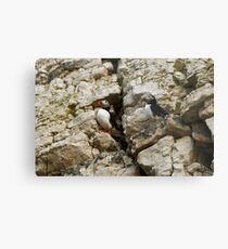 WHAT YOU WATCHING Metal Print