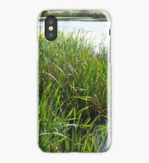 Reeds iPhone Case/Skin