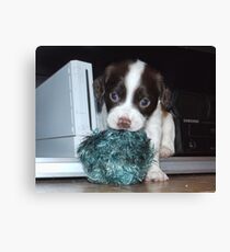 Wii Lil Sock Lover Canvas Print