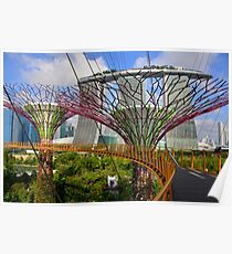 Gardens by the Bay, Singapore Poster