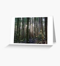 Filtered Light Greeting Card