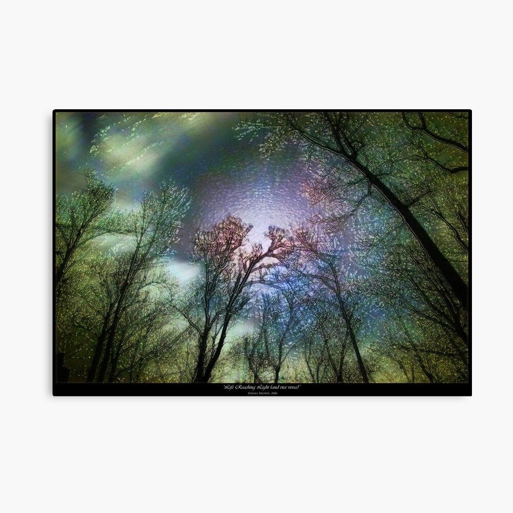 Life Reaching Light (and Vice Versa) Canvas Print