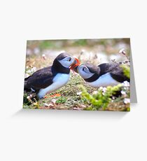 Married Bliss (Atlantic Puffins) Greeting Card