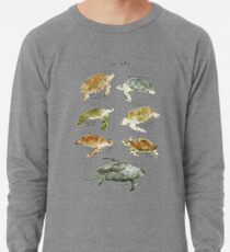 Sea Turtles Lightweight Sweatshirt