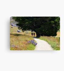 Walking To Castle Hill Canvas Print