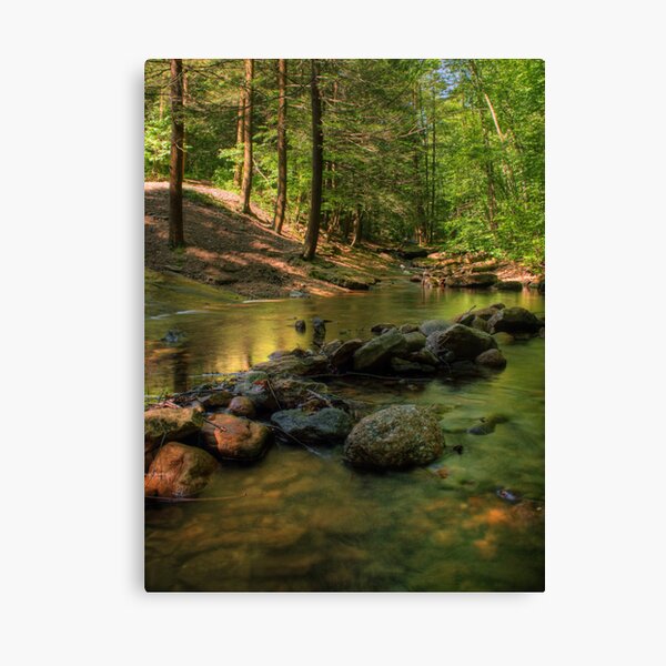 Looking Up Stream Canvas Print