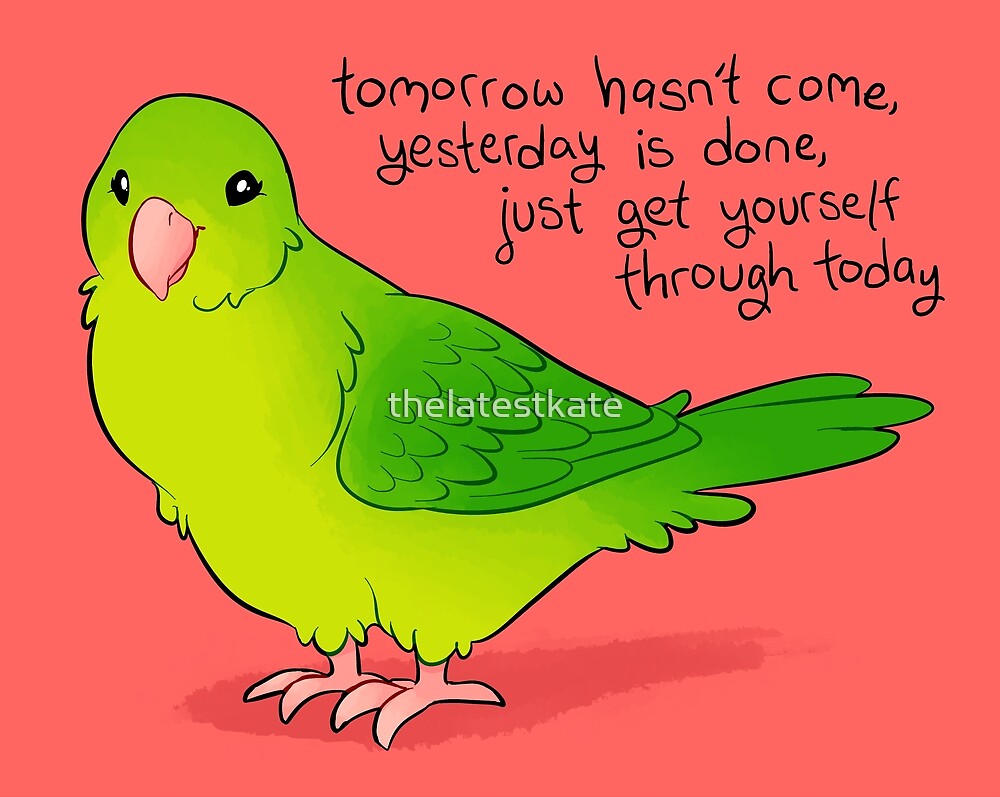 Just Get Yourself Through Today Parrotlet By Thelatestkate Redbubble