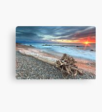 Driftwood Sunset Canvas Print