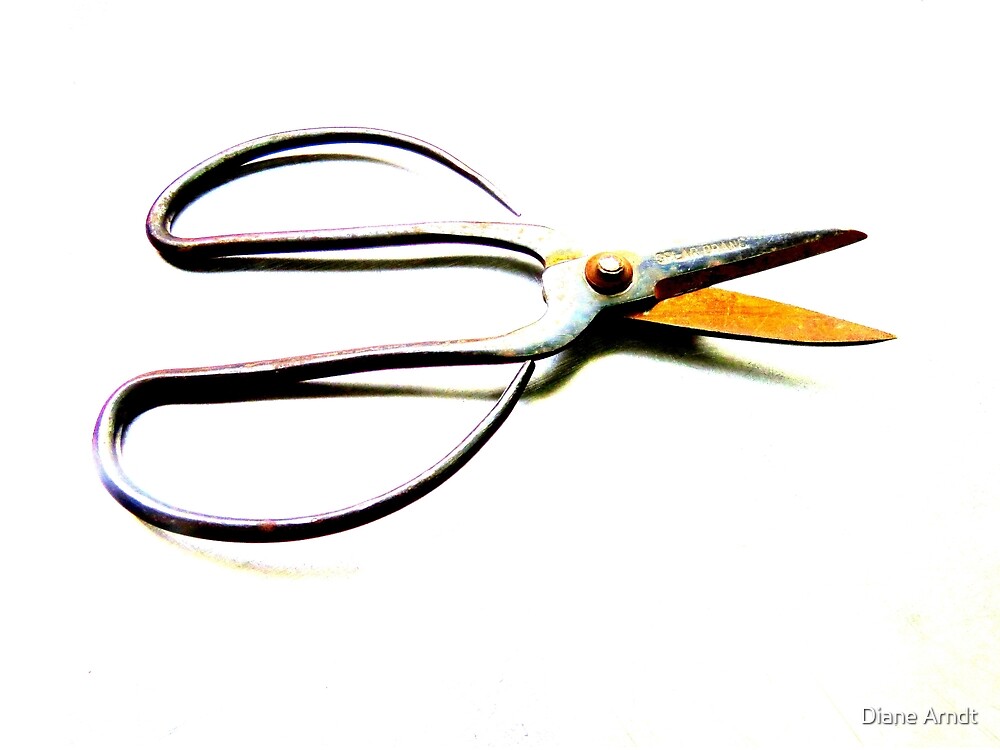 "Vintage Spear Brand Scissors" by Diane Arndt Redbubble