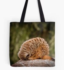 'I'm an echidna' Tote Bag