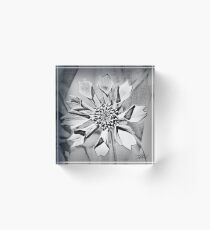 tickseed Acrylic Block