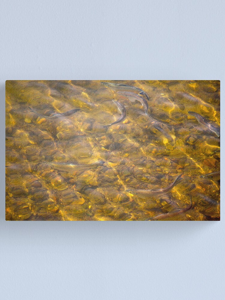 Alternate view of Fishing with my camera Canvas Print