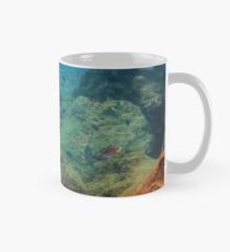 Underwater Dreamworld Classic Mug