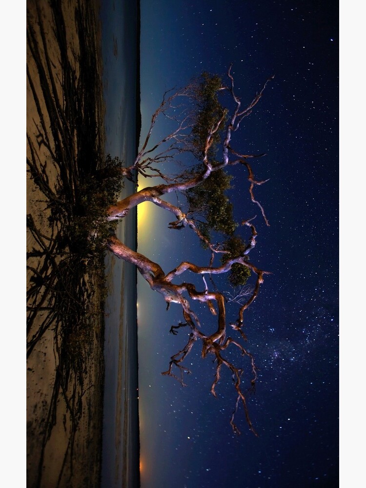 The tree by MelBrackstone