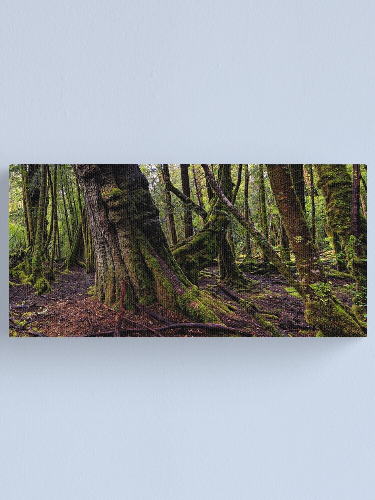 Alternate view of The clearest way to the Universe is through a forest wilderness Canvas Print