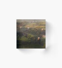 The cows Acrylic Block