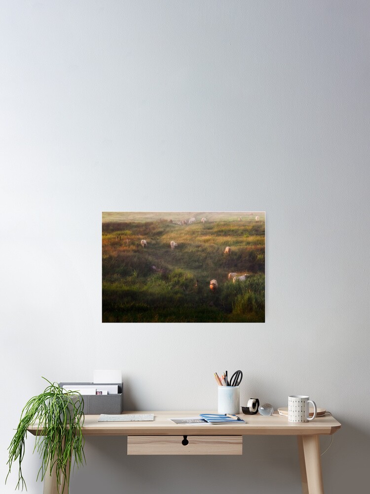 Alternate view of The cows Poster