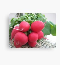 Radish Red Canvas Print