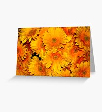 Yellow Gerberas Greeting Card