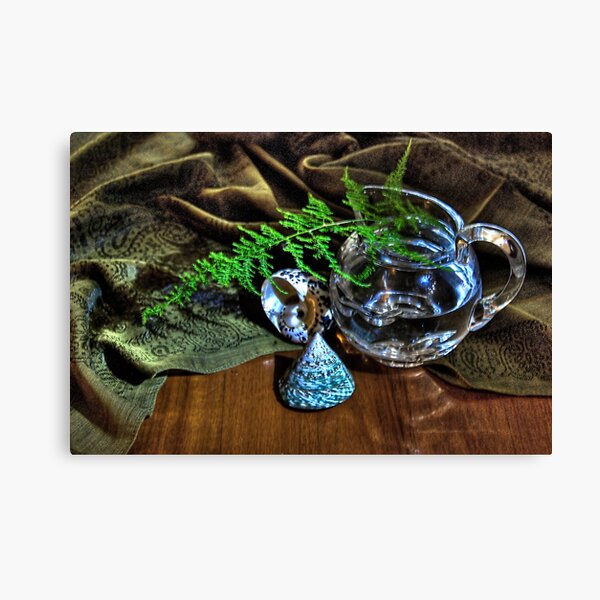 Clair de lune Canvas Print