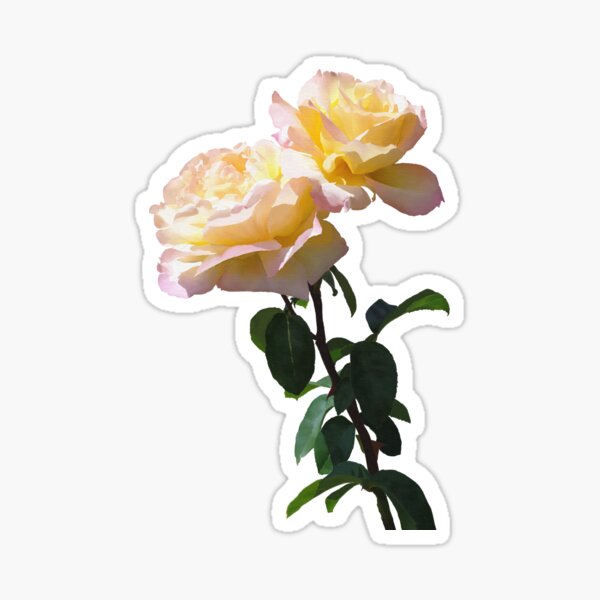 Yellow Rose Sticker