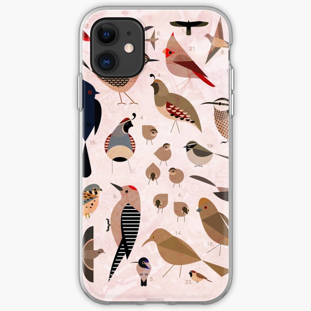 Sonoran Birds iPhone Case & Cover