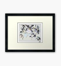 blossoms Framed Print