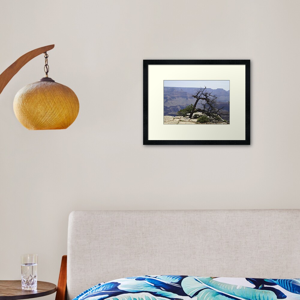 Grand Canyon - South Face Framed Art Print