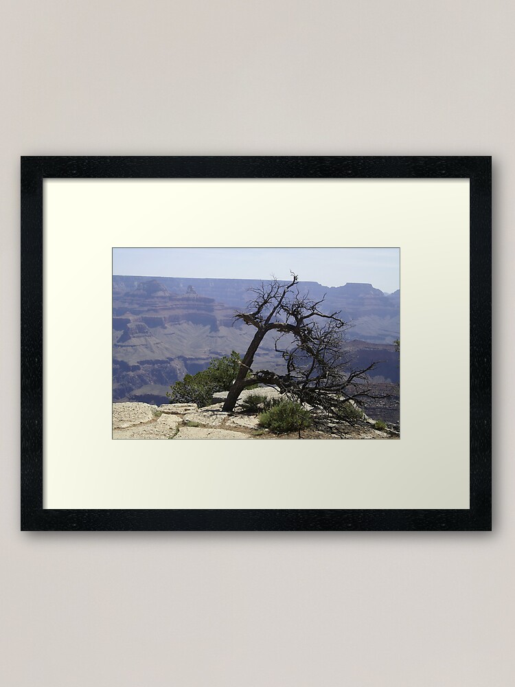 Alternate view of Grand Canyon - South Face Framed Art Print